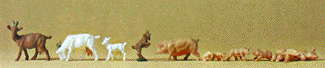 Animals -- Goats & Hogs