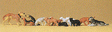 Cats & Dogs -- Assorted pkg(12)