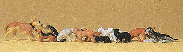 Cats & Dogs -- Assorted pkg(12)