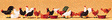 Animals -- Chickens pkg(18)