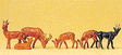 Animals -- Reindeer (Set #2) pkg(6)