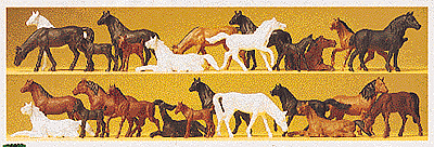 Animals -- Horses pkg(26)