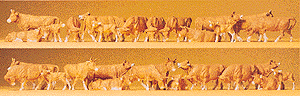 Cows pkg(30) -- Brown & White