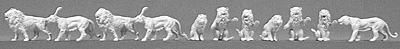 Zoo & Circus anmls unpntd