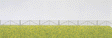 Shepherds' Fences pkg(20) -- Each: 1-3/4"  4.4cm Long