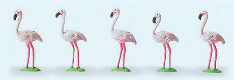 Flamingos -- pkg(5)