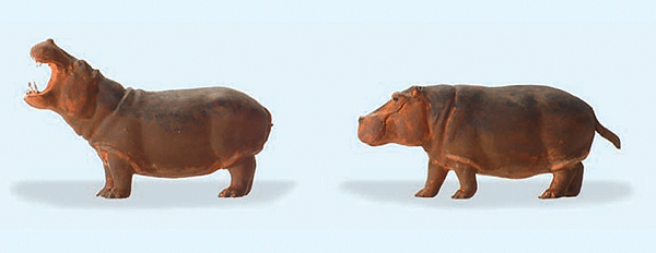 Animals -- Hippopotamuses pkg(2)
