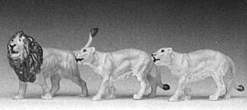 Animals -- Lions (1 Male, 2 Females)