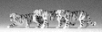 Animals -- Tigers (black, white) pkg(3)