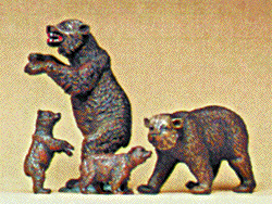 Brown Bears -- pkg(4)