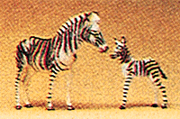 Animals -- Zebras: 2 Adults & 2 Foals