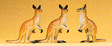 Animals -- Kangaroos pkg(3)