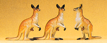 Animals -- Kangaroos pkg(3)