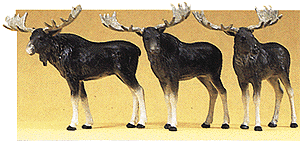 Animals -- Moose pkg(3)