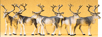 Reindeer pkg(6)