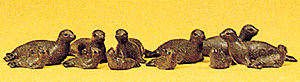 Animals -- Seals pkg(12)
