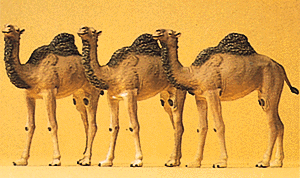 Animals -- Camels (Dromedary, 1 Hump) pkg(3)
