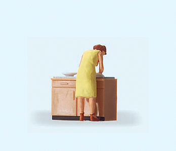 People At Home -- Woman Doing Dishes