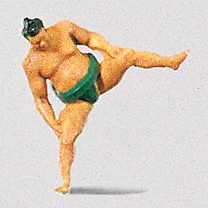 Sumo Wrestler