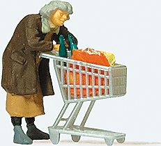 Homeless Woman w/Shopping Cart