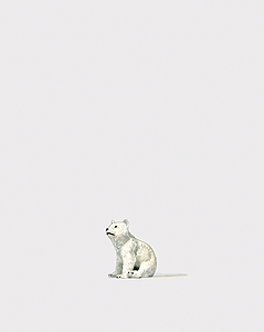 Animal -- Baby Polar Bear