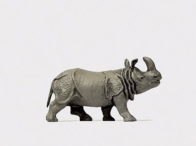 Animal -- Indian Rhinoceros #1
