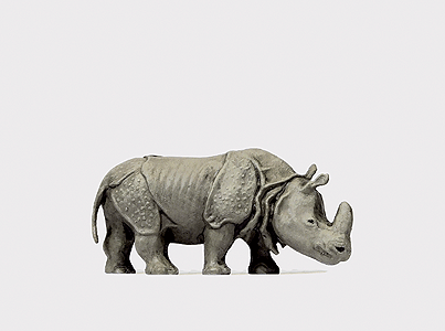 Animal -- Indian Rhinoceros #2