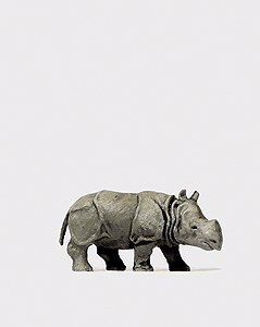 Animal -- Baby Indian Rhinoceros