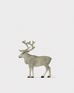 Individual Animal -- Reindeer