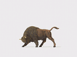 Animal -- Buffalo