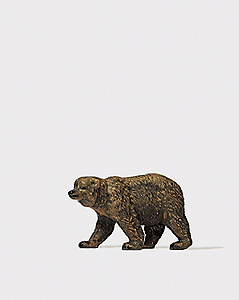 Animal -- Brown Bear