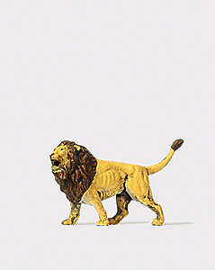 Animal -- Lion