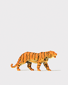 Animal -- Tiger