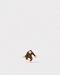 Animal -- Baby Chimpanzee