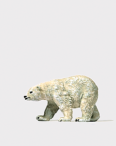 Animal -- Polar Bear