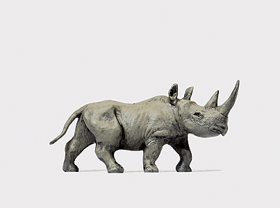 Animal -- African Rhinoceros #1