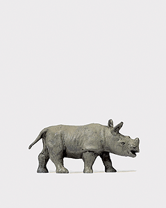 Animal -- Baby African Rhinoceros
