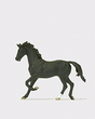 Animal -- Black Horse