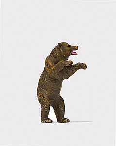 Animal -- Brown Bear