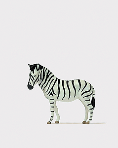 Animal -- Zebra
