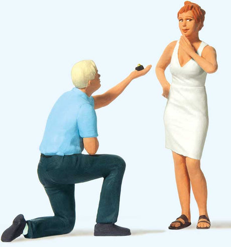 Marriage Proposal -- pkg(2)-1