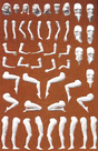Customizing Figure Sets -- "Eve" Female Figures pkg(6)