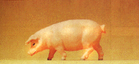 Domestic Animal Figures, 1/24 - 1/25 Scale -- Pig Walking