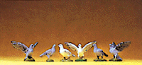 Wild Animal Figures, 1/24 - 1/25 Scale -- Pigeons