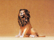 Wild Animal Figures, 1/24 - 1/25 Scale -- Lion Sitting