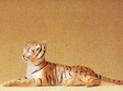 Wild Animal Figures, 1/24 - 1/25 Scale -- Tiger Lying Down