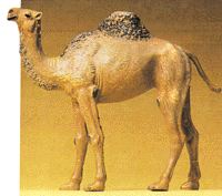Wild Animal Figures, 1/24 - 1/25 Scale -- Standing Camel (1 Hump)