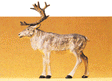 Wild Animal Figures, 1/24 - 1/25 Scale - Individual -- Standing Reindeer