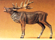 Wild Animal Figures, 1/24 - 1/25 Scale -- Bellowing Stag Elk