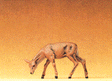 Wild Animal Figures, 1/24 - 1/25 Scale -- Small Roe Deer, Feeding Doe w/Head Down